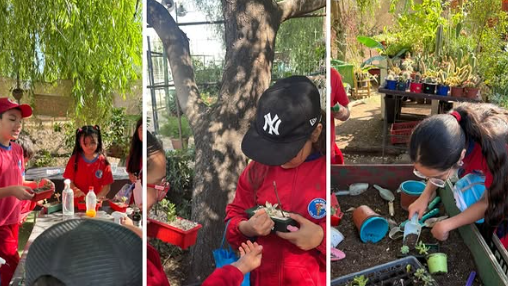 Salida pedagógica (vivero Parque San Miguel) | 2025